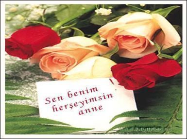 Sen benim herseyimsin anne