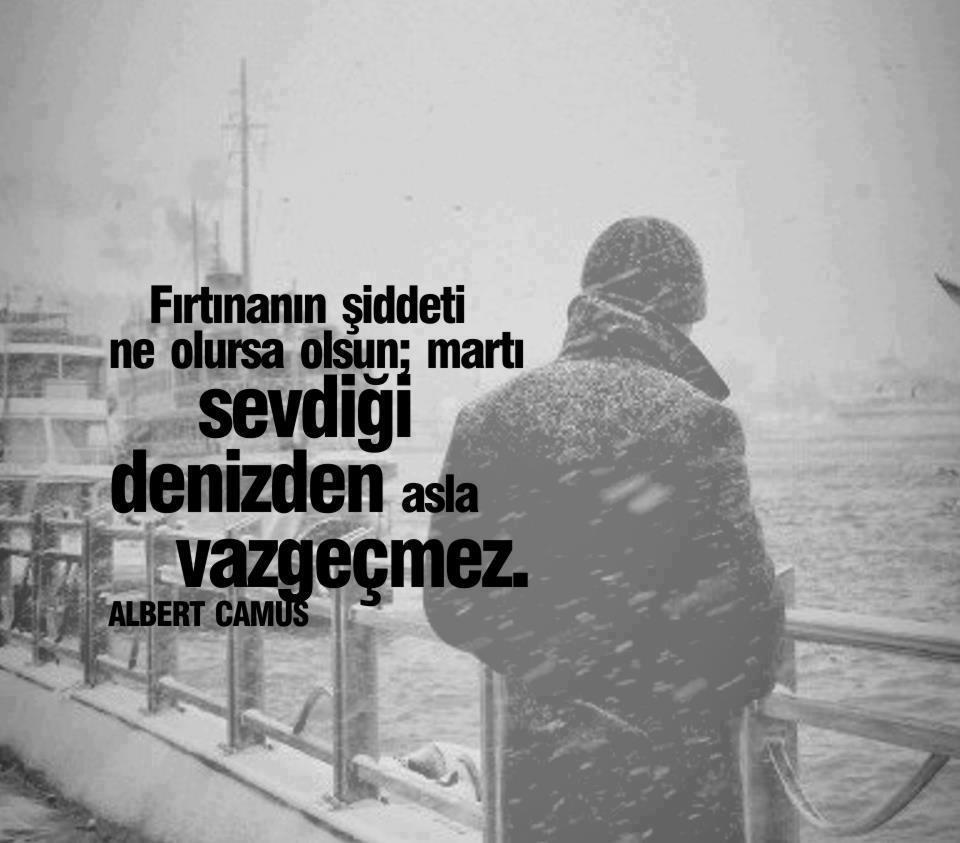 Fırtınanın şiddeti ne olursa olsun;
Martı sevdiği denizden asla vazgeçmez.
ALBERT CAMUS