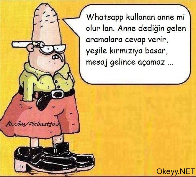 Whatsapp kullanan anne mi olur lan!